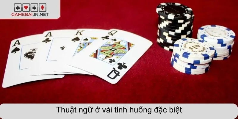 Thuật ngữ ở vài tình huống đặc biệt