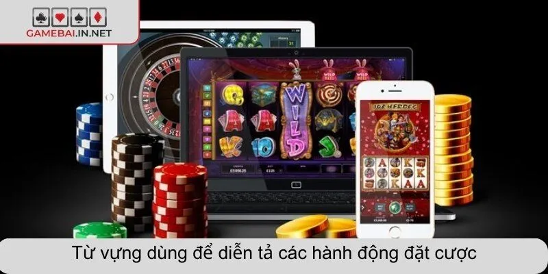 Từ vựng dùng để diễn tả các hành động đặt cược